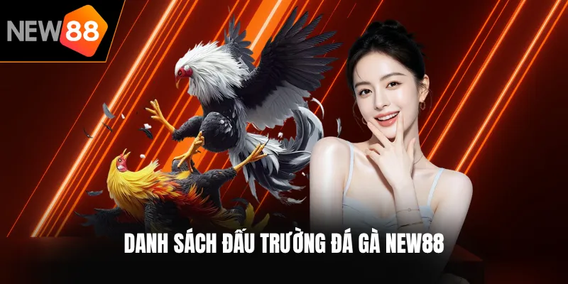 Danh sách đấu trường đá gà NEW88