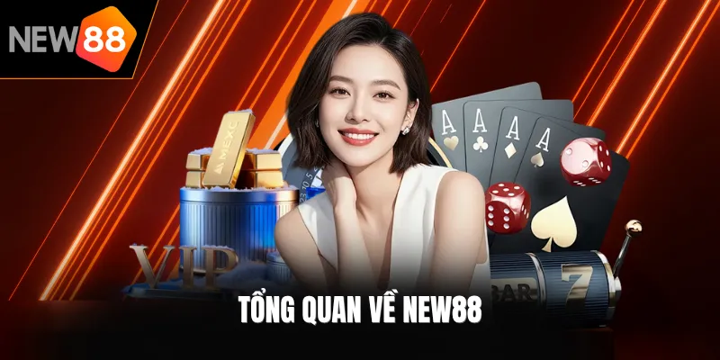 Tổng quan về NEW88